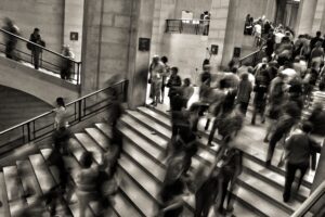 Why SEO? If Google Could Talk…